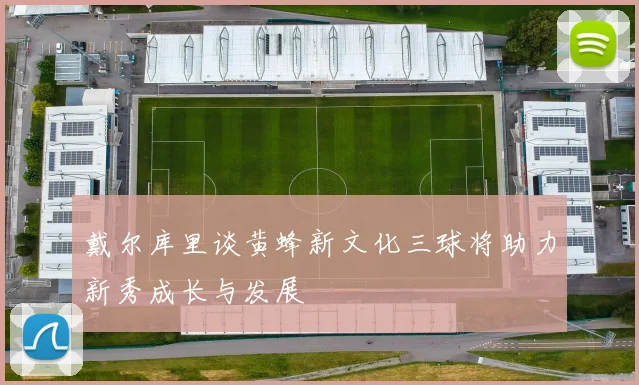 戴尔库里谈黄蜂新文化三球将助力新秀成长与发展