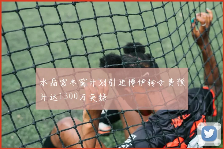 水晶宫冬窗计划引进博伊转会费预计达1300万英镑